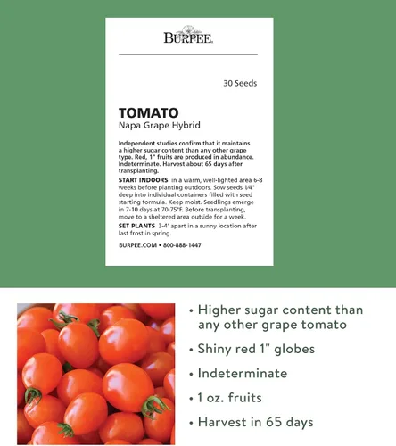 Vista 2 de Burpee Napa Grape - Semillas de tomates uva, 30 semillas