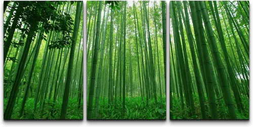 Vista 10 de wall26 Lienzo enmarcado para pared, juego de arte debajo de los tallos de bambú verde, naturaleza, desierto, fotografía, realismo, contemporáneo