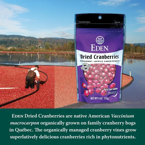 Vista 3 de Eden Arándanos secos orgánicos, endulzados con jugo de manzana, 4 onzas
