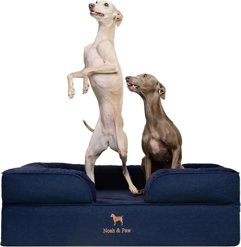 Vista 35 de NOAH & PAW Cama para perros pequeños, 20 x 15 x 8 pulgadas, cama para gatos de interior, espuma viscoelástica ortopédica de cáscara de huevo