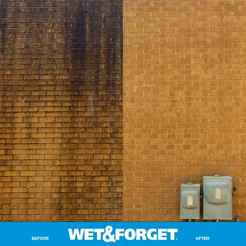 Vista 7 de Wet & Forget Molde de musgo para exteriores, removedor de manchas de hongos y algas, 2 x 0.75 galones