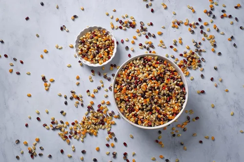 Vista 5 de Amish Country Popcorn Bolsa de 1 libra Granos de palomitas de maíz arcoíris Tradicional, sin OGM y sin gluten (Arcoíris - Bolsa de 1 libra)