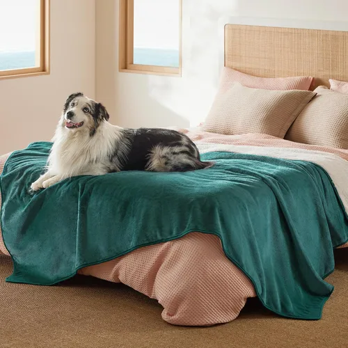 Vista 20 de Bedsure - Mantas impermeables para perros pequeños - Manta de felpa de sherpa con impresión suave lavable para perros y gatos, protector de muebles