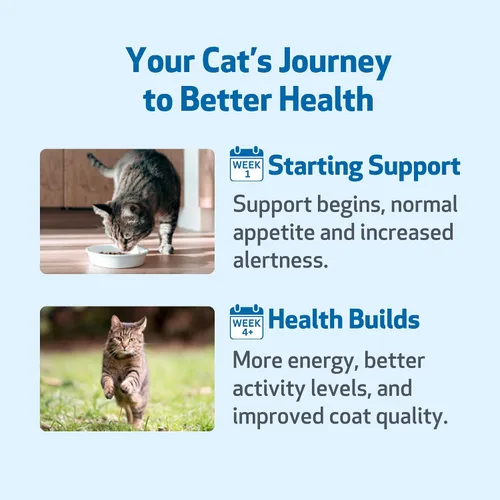 Vista 5 de Pet Wellbeing Cardo mariano para gatos, hierba orgánica, apoyo para la desintoxicación del hígado de cardo mariano, antioxidantes, certificado por
