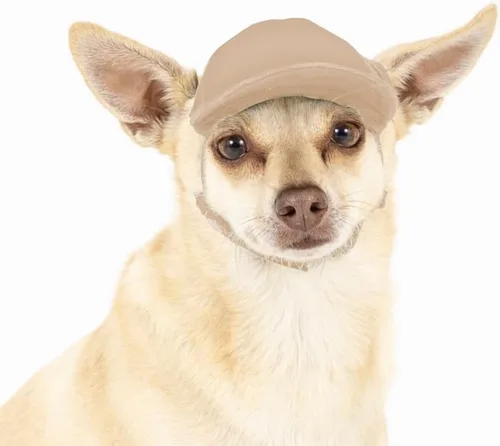 Vista 31 de DIY PupLid Trucker Hats (negro/blanco, XXS) - Sombrero de perro personalizable, lona en blanco para diseño personalizado, ajustable, protección