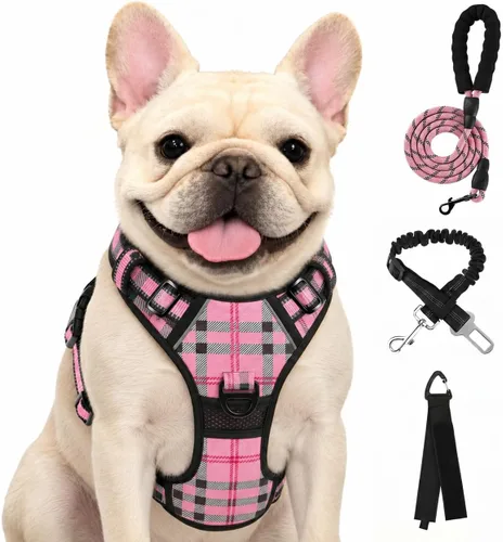 Vista 46 de FURRYFECTION - Arnés para perro a cuadros con correa y cinturón de Rosa