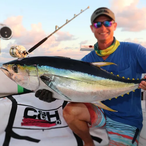 Vista 6 de C&H Lures Señuelos de Pesca Sea Witch - Originales Desde 1959, Faldas de Nylon Revelan Cabeza con Peso, 15 Colores, 8 Pesos de Cabeza, Señuelo