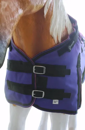Vista 5 de CHALLENGER 1200D Foal Winter Blanket Miniature Pony Donkey Bellyband Turquoise Rustic