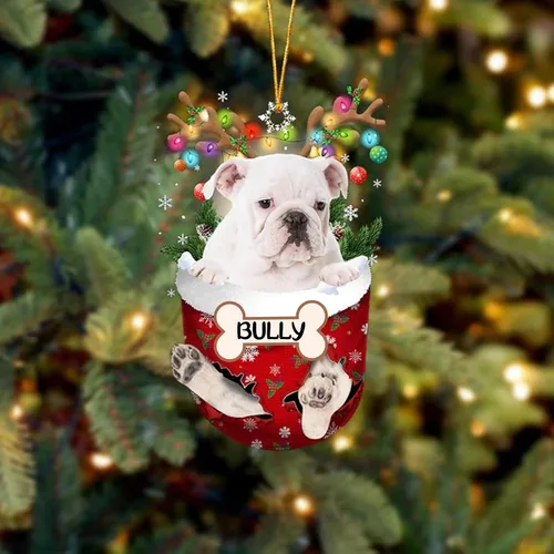 Vista 73 de IZI POD Affenpinscher Adorno de Navidad personalizado para perro, adorno de bolsillo de nieve para perro para árbol de Navidad, adorno acrílico