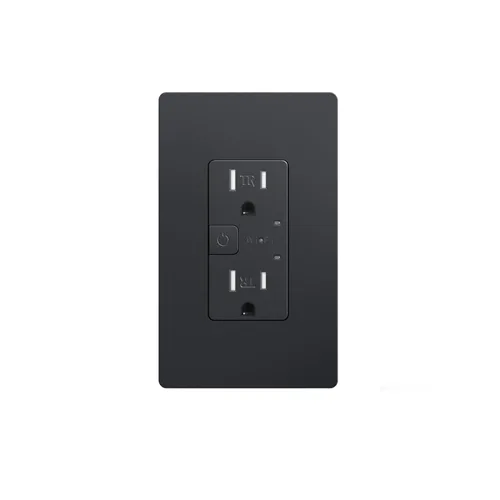 Vista 9 de Salida inteligente Matter 15A, Google Home, Alexa, SmartThings, solo 2.4G, paquete de 2 Aplicación y control de voz, sin puente, funciona