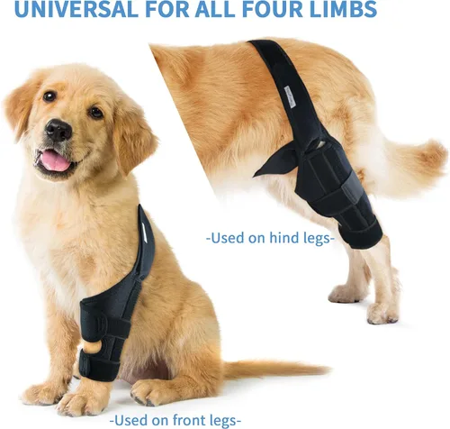 Vista 3 de Rodillera para perros para patas traseras y traseras, ajustable, duradera, negra, talla XXL