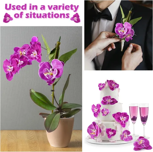 Vista 3 de Janinka - 80 cabezas de orquídeas falsas de seda Phalaenopsis para Morado oscuro