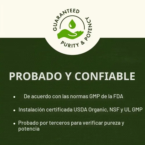 Vista 3 de Swanson Dr. Langer's Probiótico de 16 cepas con FOS prebiótico para la salud intestinal