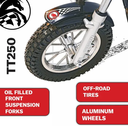 Vista 2 de Burromax TT250 Motocicleta de tierra eléctrica para niños, 250w 24v 7ah, 2 velocidades, hasta 14 mph, para ciclistas de hasta 150 lb, mini bicicleta