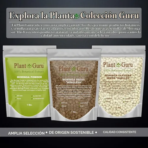 Vista 8 de Moringa Seeds sin alas, 16 onzas / 1 libra, variedad PKM1, aperitivos comestibles, plantación, Moringa Oleifera, Malunggay, Semillas de Moringa