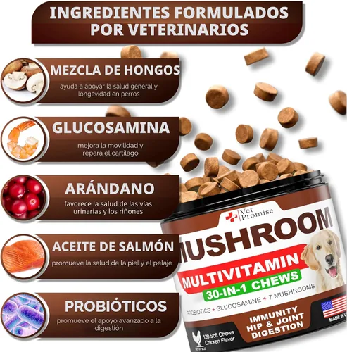 Vista 2 de Paquete de 2 hongos de cola de pavo para perros, 340 masticables, hongo Ámbar