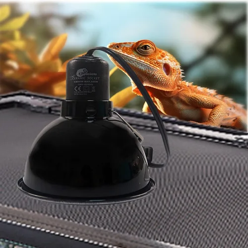 Vista 6 de Lámpara de luz para reptiles, lámpara de calor de cúpula profunda de 5.5 pulgadas máximo de 200 W con reflexión óptica, lámpara UVB para terrarios