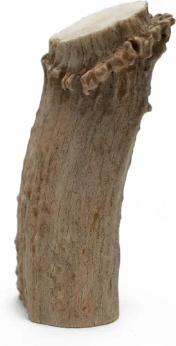 Vista 4 de QT Dog Medium Antlers - Masticable para perros 100% natural de larga duración, lleno de proteínas de origen ético y masticadores dentales bajos