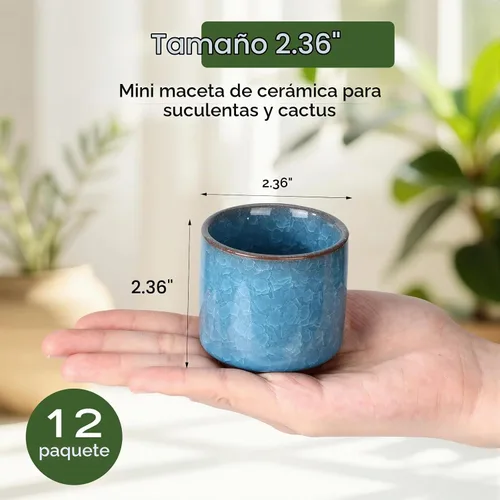 Vista 2 de Paquete de 12 macetas pequeñas de cerámica para suculentas