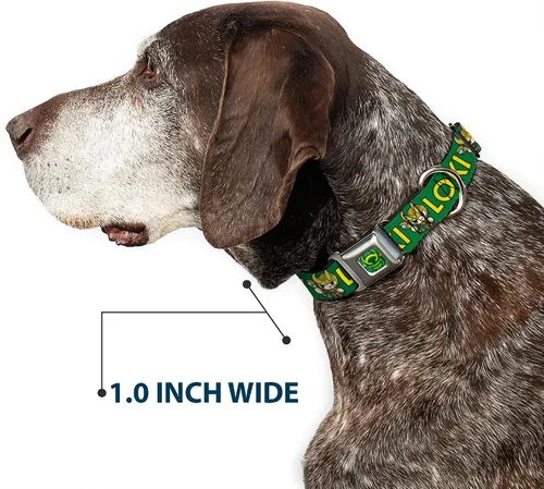 Vista 6 de Buckle-Down Collar de perro hebilla kawaii Loki pie pose texto verde amarillo multicolor, 1 pulgada de ancho - se adapta a cuello de 9-15 pulgadas