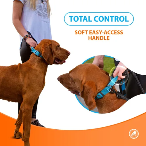 Vista 4 de SparklyPets Collar de perro resistente con asa para perros medianos y grandes, collar profesional con costuras reflectantes, mango suave y hebilla