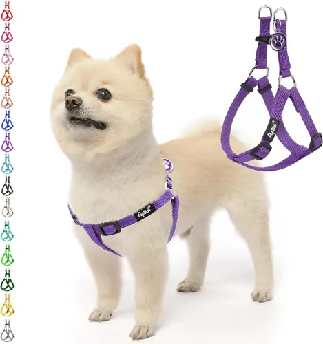 Vista 28 de Pupteck - Arnés para perros sin jalar, suave, ajustable, de nailon, talla básica, chaleco para cachorro, para caminar al aire libre con etiqueta
