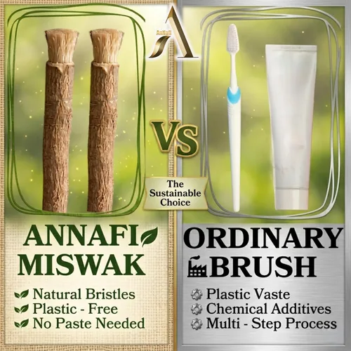 Vista 7 de AnNafi® Siwak Miswak Stick Meswak Arak Peelu - Palo de masticar con sabor natural, cepillo orgánico sellado al vacío, cepillo de dientes de hierbas