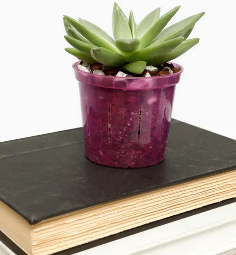 Vista 9 de rePotme Paquete de 3 macetas de orquídeas de 4 pulgadas con agujeros para trasplante (transparente)