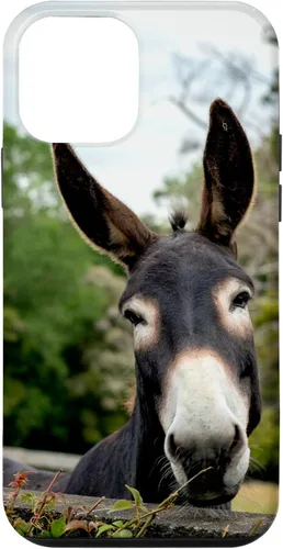 Vista 16 de Funda Donkey para iPhone 17