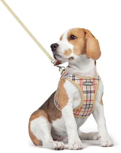 Vista 137 de rabbitgoo Arnés para perro de tamaño pequeño y juego de correa, chaleco Cachorros de manzana