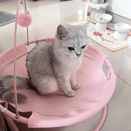 Vista 8 de Hamaca para gatos de fácil montaje, perca elevada para gatos, cama desmontable para perros pequeños con alfombrilla extraíble lavable para mascotas