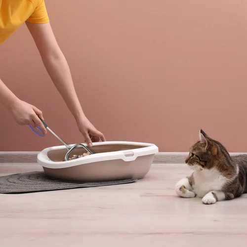 Vista 6 de Sand Dipper Pala de Arena Metálica para Gatos – Pala de Caca de Gato con Mango Largo para Caja de Arena (15"), Pala de Arena de Acero Inoxidable