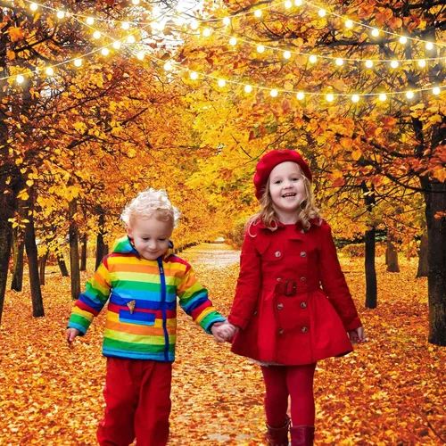 Vista 3 de Cartel de fondo de bosque de otoño de 5 x 7 pies para fotografía, paisaje natural, hojas de paisaje de otoño, decoraciones de fiesta de Acción