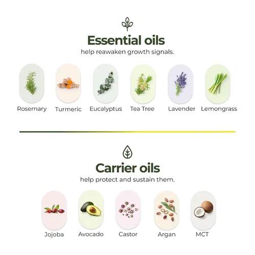 Vista 8 de regener8 Aceite para el cabello y el cuero cabelludo para mujeres, mezcla de aceites esenciales y portadores para adelgazamiento y pérdida