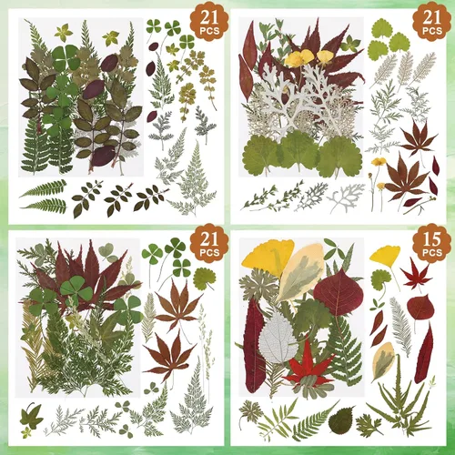 Vista 6 de Alipis Dried Pressed Flowers and Leaves for Resin Crafts, 162+ Pieces Green Leaves