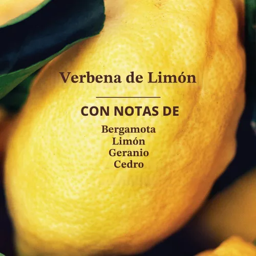 Vista 3 de Mrs. Meyer's - Detergente líquido para platos, aroma a verbena de limón, fórmula biodegradable, paquete de 3 unidades, 16 fl oz