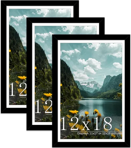 Vista 69 de Picrit Paquete de 3 portarretratos de 20 x 20 pulgadas, póster de 16 x 16 pulgadas con paspartú o de 20 x 20 pulgadas sin paspartú para montaje
