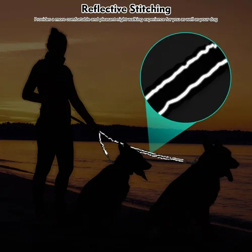 Vista 5 de 2 correas para perro, doble correa para perro, correa elástica sin enredos, correa elástica para perro, giratoria de 360°, sin enredos, correa doble
