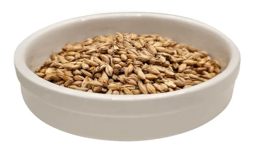 Vista 4 de Briess 26-QVZH-HVSI Grano de malta de cerveceros estadounidenses para elaboración de cerveza y cerveza casera 1 lb. (2 filas de cerveceros), marrón