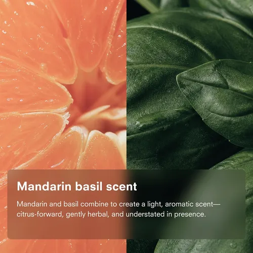 Vista 5 de Public Goods Jabón natural para platos Jabón de cocina A base de plantas y vegano Líquido detergente transparente para platos Fórmula