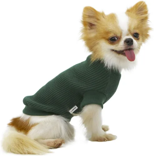 Vista 12 de LOPHIPETS - Suéteres ligeros para perros pequeños para cachorros, ropa de Chihuahua y Yorkie para cachorros - Atrovirene/XXS verde (atrovirens)