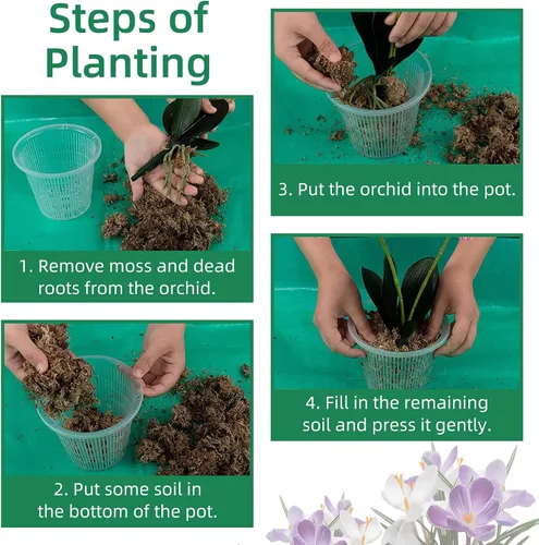 Vista 7 de Maceta de orquídeas de 4 pulgadas con agujeros, 12 macetas de plástico transparente para orquídeas, ranuradas para trasplantar red transparente