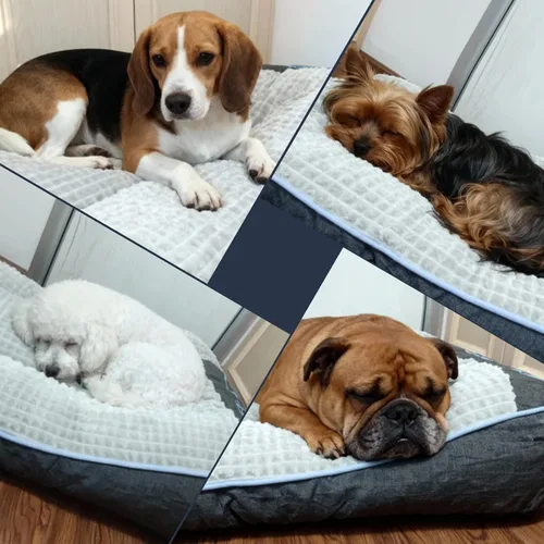 Vista 8 de Cama Ortopédica para Perros - Cama para Mascotas Tipo Sofá, Almohadilla Extra Gruesa y Cómoda para Jaula de Perros con Espacio para Moverse