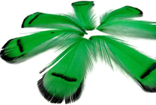 Vista 2 de Green Lady Amherst - Plumas artesanales de faisán, 1 docena