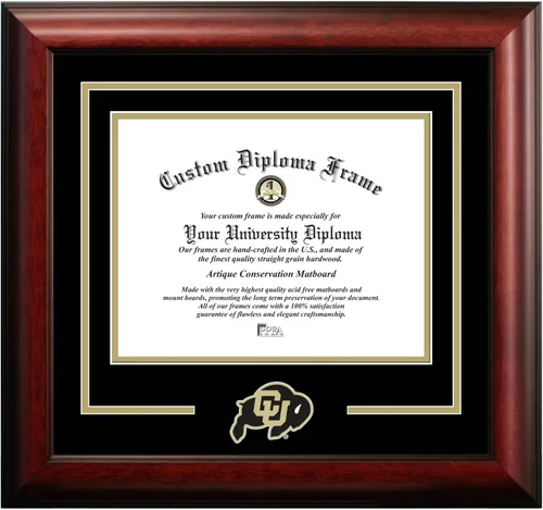 Vista 60 de Marco de Diploma Spirit NCAA