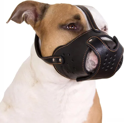 Vista 12 de CollarDirect Bozal de cuero para cesta, GSD y Doberman (negro, grande)