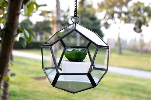 Vista 3 de WGV - Maceta geométrica colgante de terrario de 5.5 pulgadas de ancho y 6 pulgadas de alto, marco negro de cristal transparente, marco negro, planta