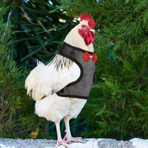 Vista 9 de balacoo Arnés de pollo – Cuerda de tracción de pollo, elástico, transpirable, ajustable, arnés para mascotas, lavable, juego de mascotas de Navidad