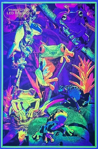 Vista 2 de Studio B Tree Frogs - Póster de luz negra no flocada, 24 x 36, 24 x 36