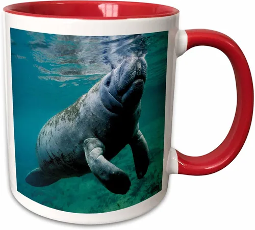 Vista 13 de 3dRose, Taza negra bicolor de 11 oz, negro/blanco